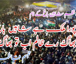 ایک نظم شاہین باغ کے نام