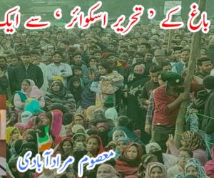 شاہین باغ کے ’ تحریر اسکوائر ‘ سے ایک تحریر