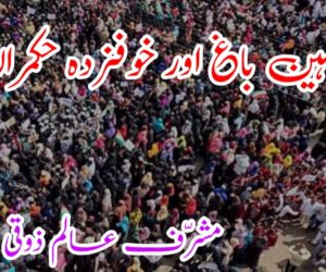 شاہین باغ اور خوفزدہ حکمران