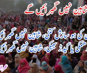 نظم: شاہین نہیں گھبرائیں گے : عمران خان