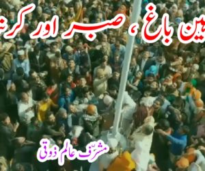 ‏شاہین باغ ، صبر اور کرنٹ