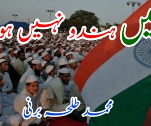 میں ہندو نہیں ہوسکتا