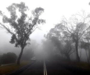 آسٹریلوی جنگلاتی آگ والے علاقوں میں بارش، آگ کی شدت میں کمی