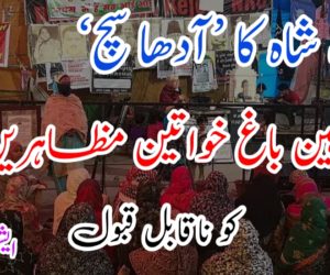 امت شاہ کا ’آدھا سچ‘ شاہین باغ خواتین مظاہرین کو ناقابل قبول