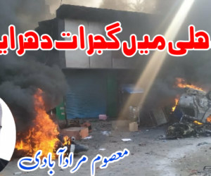 جب دہلی میں گجرات دہرایا گیا