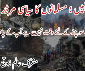 دنگا نہیں ؛ مسلمانوں کا سیاسی مرڈر ہے! 