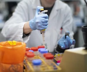 کورونا سے لڑائی میں اینٹی ملیریا دوائیں کتنی مددگار؟