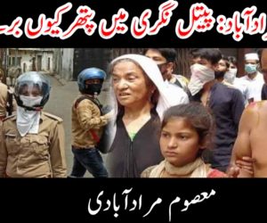 مرادآباد: پیتل نگری میں پتھرکیوں برسے؟