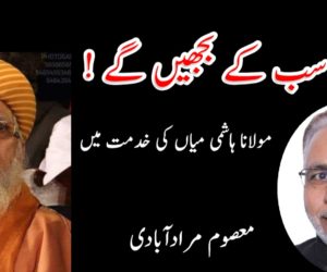 چراغ سب کے بجھیں گے !