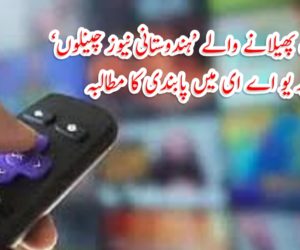 نفرت پھیلانے والے ’ہندوستانی نیوز چینلوں‘ پر یو اے ای میں پابندی کا مطالبہ