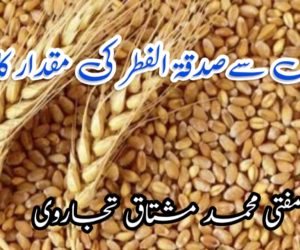 گیہوں سےصدقۃ الفطر کی مقدار کا مسئلہ