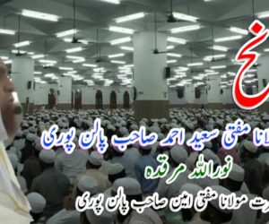 سوانح حضرت مولانا مفتی سعید احمد صاحب پالن پوری نوراللہ مرقدہ  