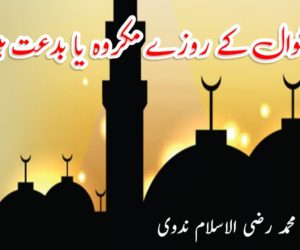 کیا شوال کے روزے مکروہ یا بدعت ہیں؟
