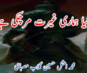 کیا ہماری غیرت مرچکی ہے؟