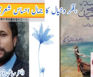 سمندر ہے درمیاں، فکر و خیال کا جمال احساس شعری امتزاج