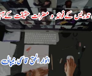 آن لائن تدریس کے فوائد و مضرات، حقیقت کے آئینہ میں !