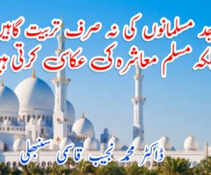 مساجد مسلمانوں کی نہ صرف تربیت گاہیں ہیں بلکہ مسلم معاشرہ کی عکاسی کرتی ہیں