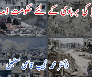 سوریا کی بربادی کے لئے حکومت ذمہ دار