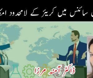 پولیٹیکل سائنس میں کریئر کے لامحدود امکانات