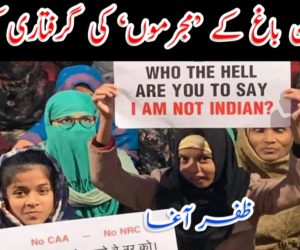 شاہین باغ کے ’مجرموں‘ کی گرفتاری کیوں؟