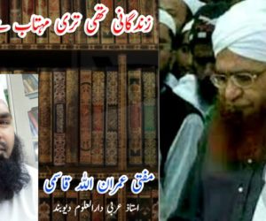 زندگانی تھی تری مہتاب سے تابندہ تر