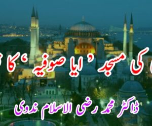 ترکی کی مسجد ’ ایا صوفیہ ‘ کا قضیہ