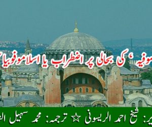 ’ آیا صوفیہ ‘ کی بحالی پر اضطراب یا اسلاموفوبیا کا اظہار؟