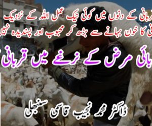 کورونا وبائی مرض کے نرغے میں قربانی کا حکم