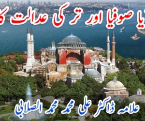 مسجد آیا صوفیا اور تر کی عدالت کا فیصلہ