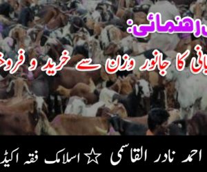 شرعی رہنمائی: قربانی کا جانور وزن سے خرید و فروخت کرنا