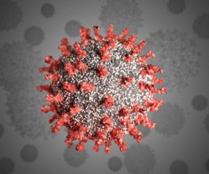 ہندوستان میں کورونا کے 16156 نئے کیسز، 733 افراد ہلاک