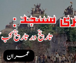 بابری مسجد: تاریخ در تاریخ کب کیا ہوا؟