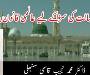 سيد الانبیاء و سيد البشر کی شان میں گستاخی قبول نہیں