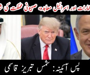 متحدہ عرب امارات اور اسرائیل معاہدہ، صہیونی مملکت کی شاندار کامیابی