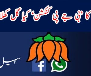 فیس بک کا ’بی جے پی کنکشن‘ کیا گل کھلائے گا؟ 