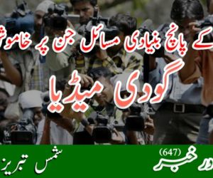 ملک کے پانچ بنیادی مسائل جن پر خاموش ہے گودی میڈیا