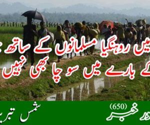 سمندر میں روہنگیا مسلمانوں کے ساتھ جو ہوا اس کے بارے میں سو چا بھی نہیں جاسکتا