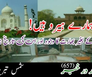 مغل ہمارے ہیرو ہیں ، ان کے بغیر بھارت کا وجود اور اس کی تاریخ نامکمل ہے !