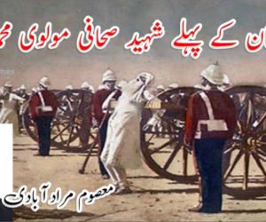 ہندوستان کے پہلے شہید صحافی مولوی محمد باقر