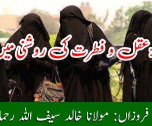 پردہ : عقل و فطرت کی روشنی میں (۱)