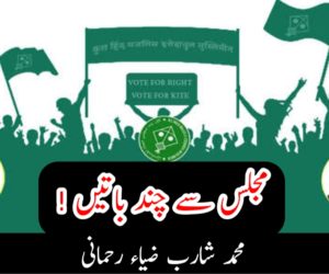 مجلس سے چند باتیں !