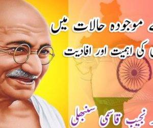 ملک کے موجودہ حالات میں گاندھی جی کی اہمیت اور افادیت