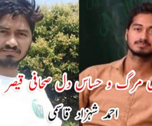 جواں مرگ و حساس دل صحافی قیصر صدیقی