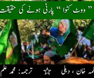 مجلس کے ’’ ووٹ کٹوا ‘‘ پارٹی ہونے کی حقیقت کیا ہے؟