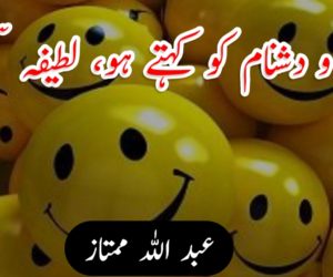 طنز و دشنام کو کہتے ہو، لطیفہ سمجھیں