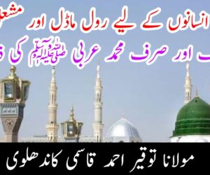 تمام انسانوں کے لیے رول ماڈل اور مشعل راہ صرف اور صرف محمد عربی ﷺ کی ذات