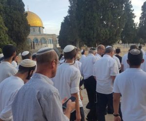 صہیونی آبادکاروں نے کی مسجد اقصیٰ کی بے حرمتی