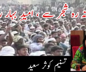 پیوستہ رہ شجر سے ، امیدِ بہار رکھ