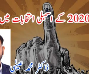 بہار کے 2020 کے اسمبلی انتخابات میں کیا ہوا؟