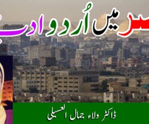 مصر میں اردو ادب